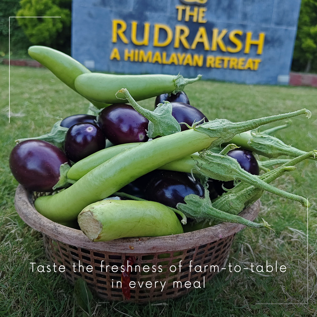 best vegetarian resort in tehri