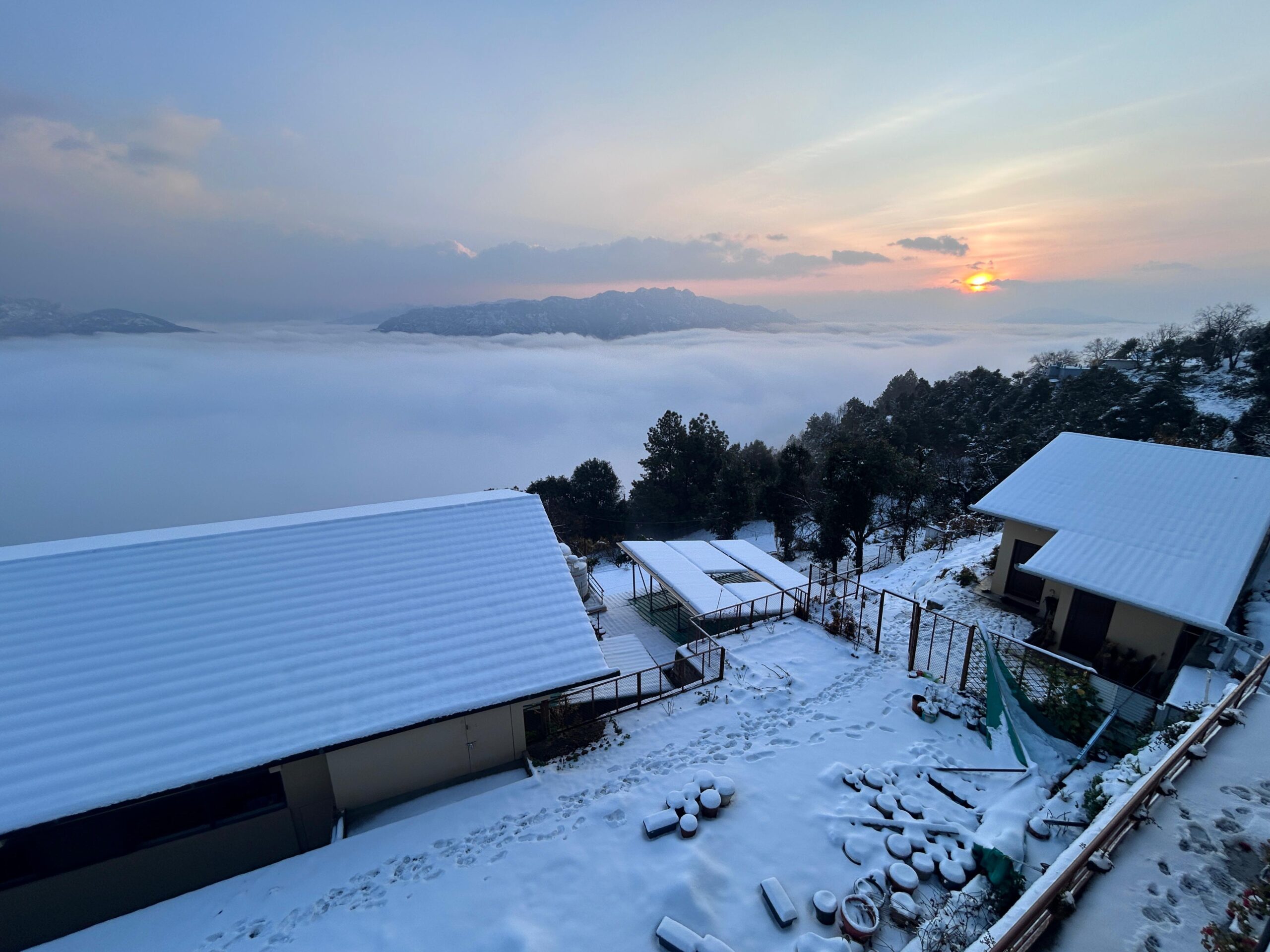 Best yoga retreat in india